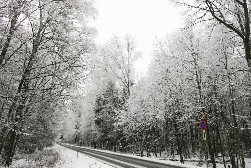 Affittacamere Cztery Pory Roku Białowieża Esterno foto