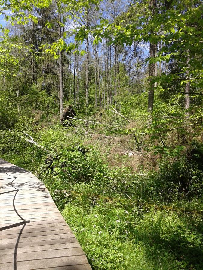 Affittacamere Cztery Pory Roku Białowieża Esterno foto