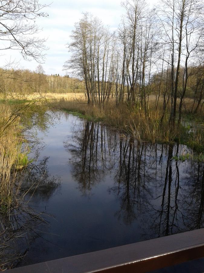 Affittacamere Cztery Pory Roku Białowieża Esterno foto