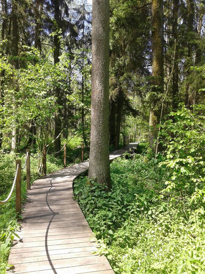Affittacamere Cztery Pory Roku Białowieża Esterno foto