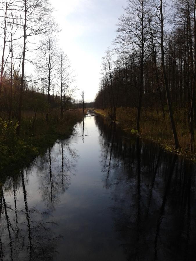 Affittacamere Cztery Pory Roku Białowieża Esterno foto