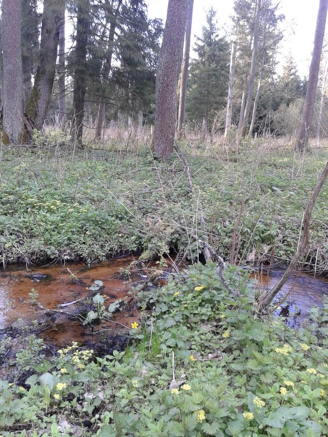 Affittacamere Cztery Pory Roku Białowieża Esterno foto